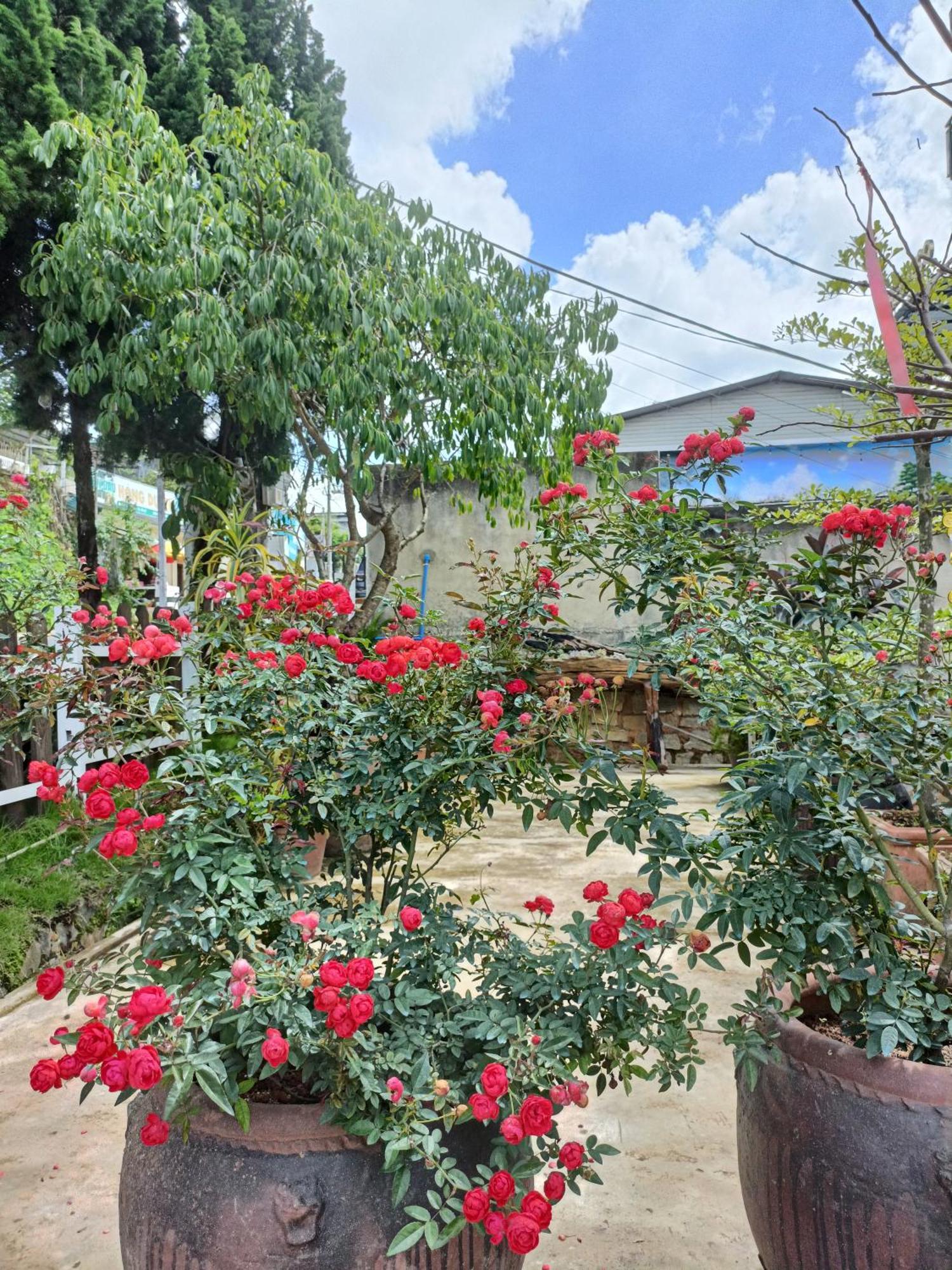 Lalaland Homestay Dalat Exteriör bild